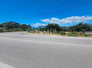 Οικόπεδο 4.300 τ.μ. για ενοικίαση, Αχαΐα, Ρίο-thumb-4