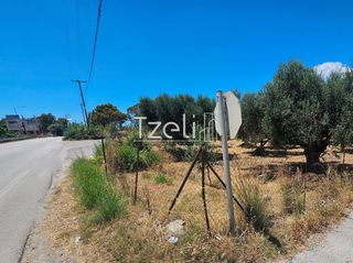 Οικόπεδο 4.300 τ.μ. για ενοικίαση, Αχαΐα, Ρίο-thumb-20