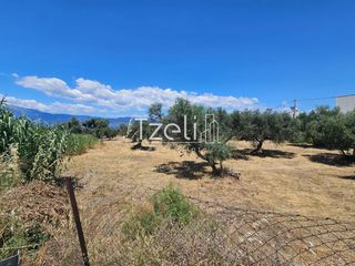 Οικόπεδο 4.300 τ.μ. για ενοικίαση, Αχαΐα, Ρίο-thumb-13
