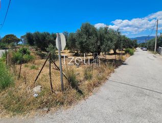 Οικόπεδο 4.300 τ.μ. για ενοικίαση, Αχαΐα, Ρίο-thumb-3