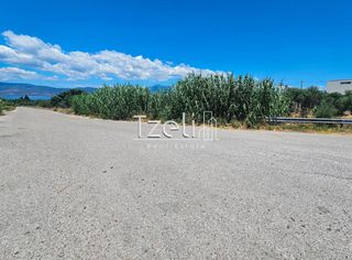 Οικόπεδο 4.300 τ.μ. για ενοικίαση, Αχαΐα, Ρίο-thumb-17