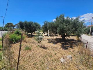 Οικόπεδο 4.300 τ.μ. για ενοικίαση, Αχαΐα, Ρίο-thumb-24