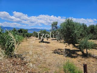 Οικόπεδο 4.300 τ.μ. για ενοικίαση, Αχαΐα, Ρίο-thumb-15