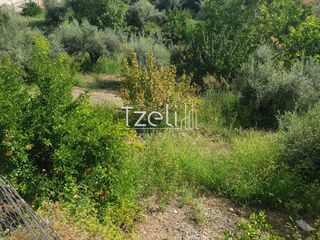 Οικόπεδο 483 τ.μ. για πώληση, Αχαΐα, Μεσσατίδα-thumb-5