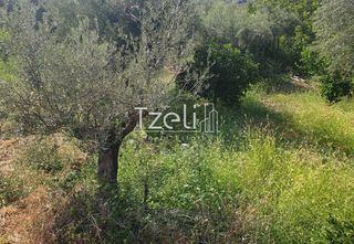 Οικόπεδο 483 τ.μ. για πώληση, Αχαΐα, Μεσσατίδα-thumb-1