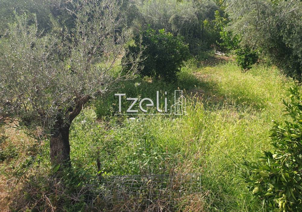 Οικόπεδο 483 τ.μ. για πώληση, Αχαΐα, Μεσσατίδα