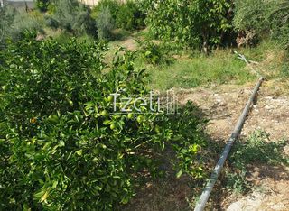 Οικόπεδο 483 τ.μ. για πώληση, Αχαΐα, Μεσσατίδα-thumb-2