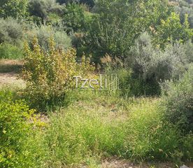 Οικόπεδο 483 τ.μ. για πώληση, Αχαΐα, Μεσσατίδα-thumb-3