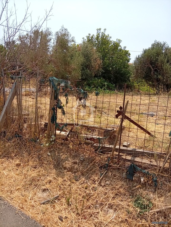 Οικόπεδο 541 τ.μ. προς πώληση, Πηγαδάκια Καρύστου