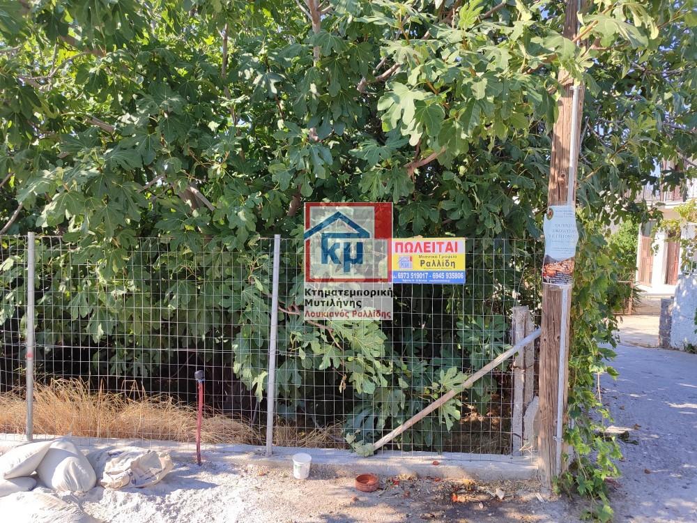 Οικόπεδο 682 τ.μ. πρός πώληση, Ν. Λέσβου, Λέσβος - Πολιχνίτος