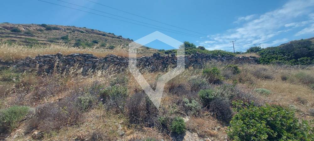 Αγροτεμάχια 12.780 τ.μ. προς πώληση, Ερμούπολη