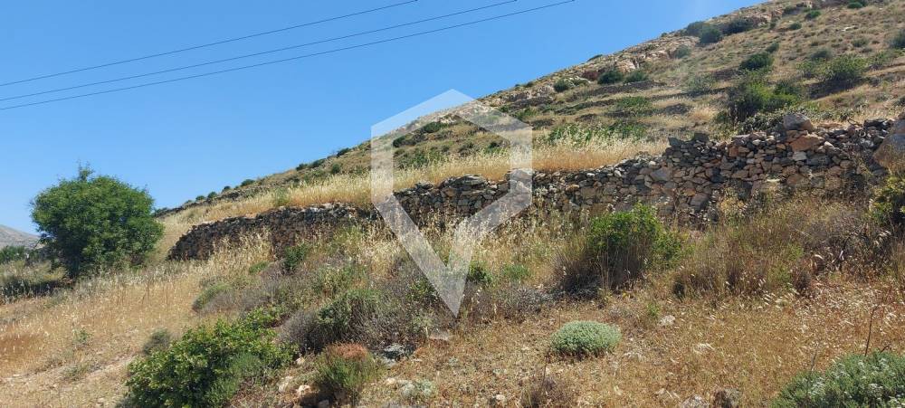 Αγροτεμάχια 12.780 τ.μ. προς πώληση, Ερμούπολη