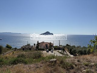 Οικόπεδο 4.061 τ.μ. για πώληση