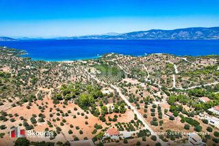 Μονοκατοικία 135 τ.μ. για πώληση, Αργολίδα, Κρανίδι-thumb-32