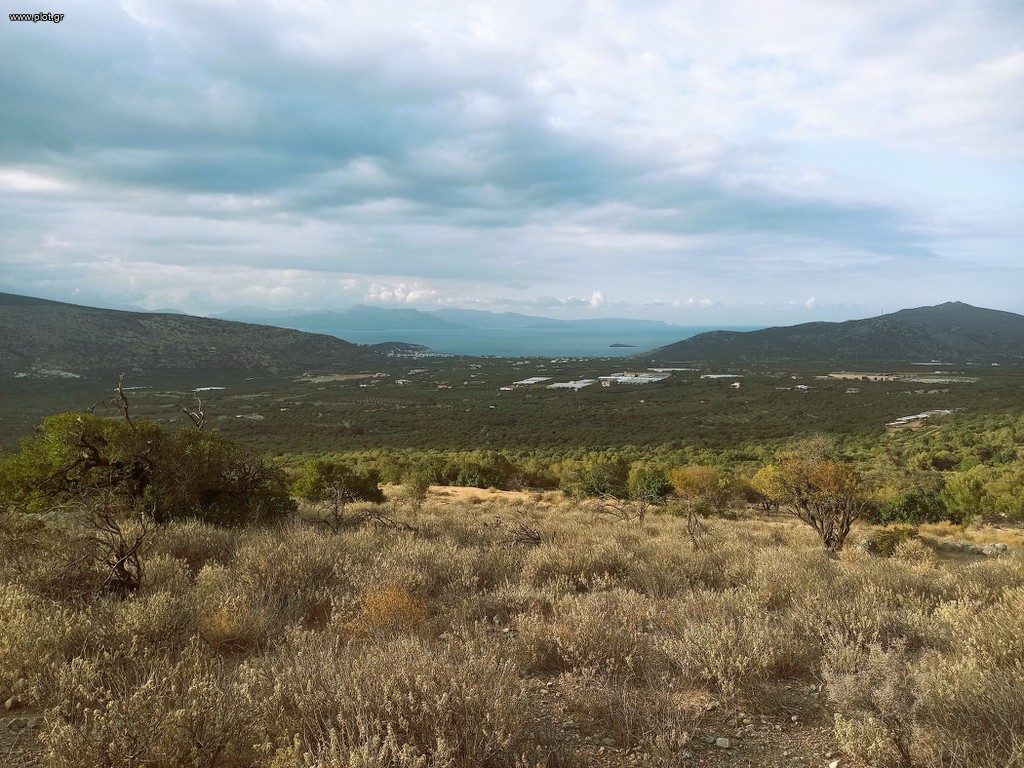 Οικόπεδο 2.937 τ.μ. για πώληση, Ν. Λασιθίου, Ιεράπετρα