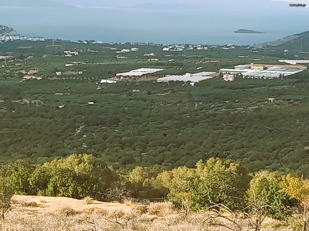 Οικόπεδο 2.937 τ.μ. προς πώληση, Ν. Λασιθίου, Ιεράπετρα