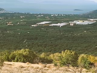 Οικόπεδο 2.937 τ.μ. για πώληση, Ν. Λασιθίου, Ιεράπετρα-thumb-4