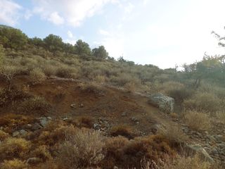 Οικόπεδο 2.937 τ.μ. για πώληση, Ν. Λασιθίου, Ιεράπετρα-thumb-8