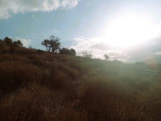 Οικόπεδο 2.937 τ.μ. για πώληση, Ν. Λασιθίου, Ιεράπετρα-thumb-9