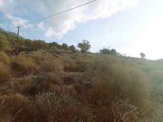 Οικόπεδο 2.937 τ.μ. για πώληση, Ν. Λασιθίου, Ιεράπετρα-thumb-10