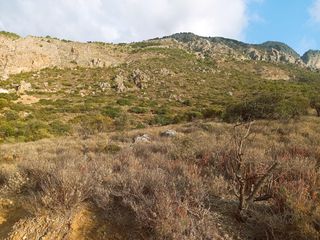 Οικόπεδο 2.937 τ.μ. για πώληση, Ν. Λασιθίου, Ιεράπετρα-thumb-15