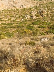 Οικόπεδο 2.937 τ.μ. για πώληση, Ν. Λασιθίου, Ιεράπετρα-thumb-16