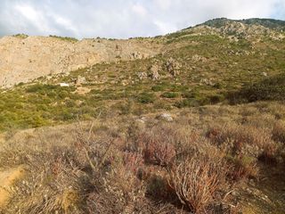 Οικόπεδο 2.937 τ.μ. για πώληση, Ν. Λασιθίου, Ιεράπετρα-thumb-19