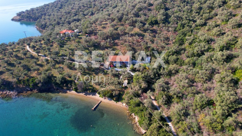 Διαμέρισμα 55 τ.μ. πρός πώληση, Μαγνησία, Τρικέρι