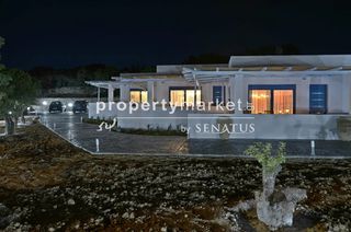 Διαμέρισμα 71 τ.μ. για ενοικίαση, Ν. Χίου, Χίος-thumb-4