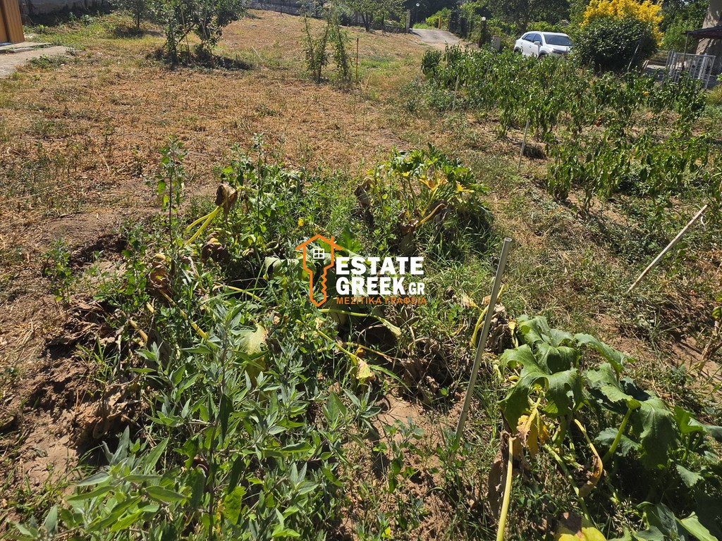 Οικόπεδο 425 τ.μ. προς πώληση, Αμισιανά