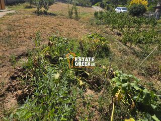 Land plot 425 sqm for sale, Kavala Prefecture, Eleftheroupoli-thumb-3