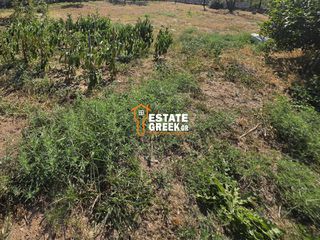 Land plot 425 sqm for sale, Kavala Prefecture, Eleftheroupoli-thumb-7