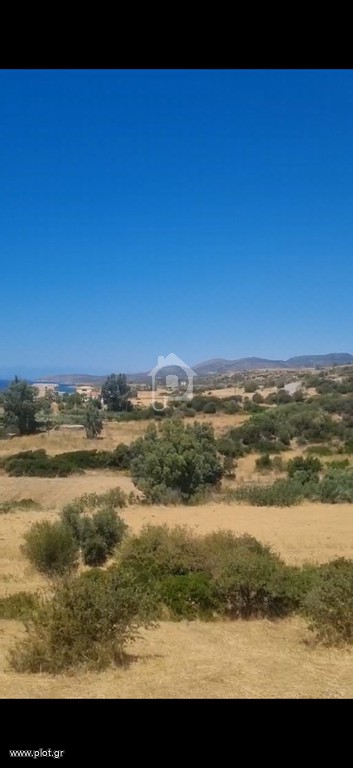 Οικόπεδο 2.500 τ.μ. προς πώληση, Πλατανιάς Βοιών