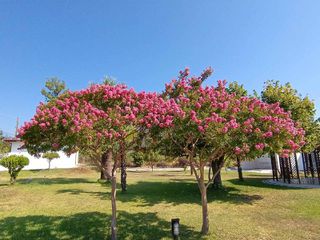 Μονοκατοικία 51 τ.μ. για πώληση, Πέλλα, Γιαννιτσά-thumb-17