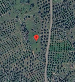 Αγροτεμάχια 6.657 τ.μ. προς πώληση