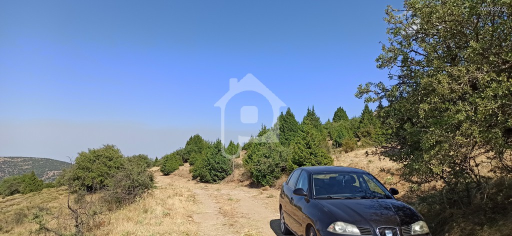 Αγροτεμάχια 17.600 τ.μ. προς πώληση, Ξηροκάμπι Βόρειας Κυνουρίας