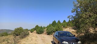 Αγροτεμάχια 17.600 τ.μ. για πώληση