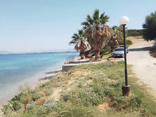 Αγροτεμάχια 700 τ.μ. για πώληση