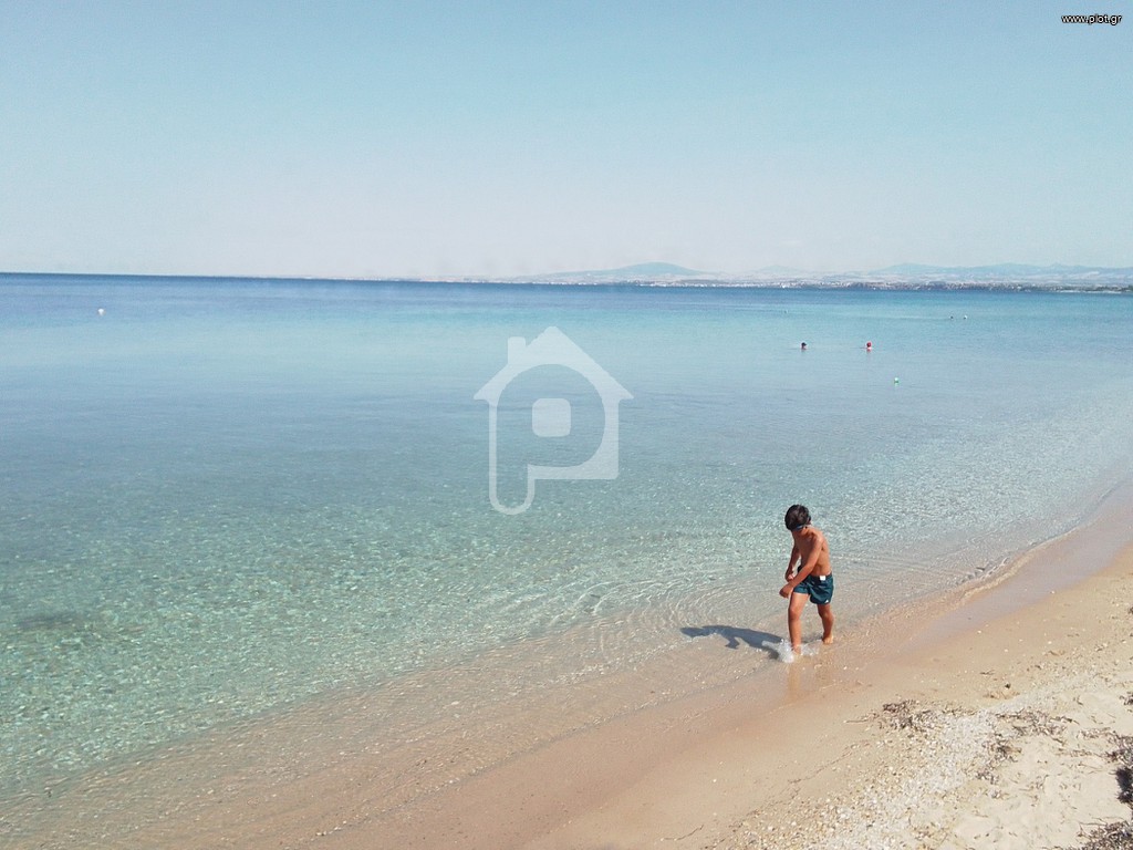 Αγροτεμάχια 700 τ.μ. προς πώληση, Νέα Ποτίδαια