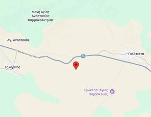Αγροτεμάχια 4.255 τ.μ. για πώληση