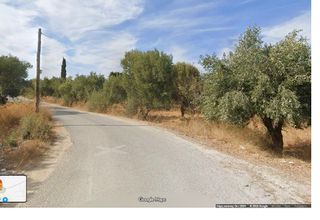 Αγροτεμάχια 1.920 τ.μ. για πώληση, Δωδεκάνησα, Κως-thumb-1
