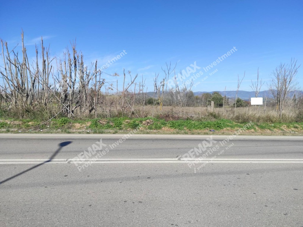 Αγροτεμάχια 5.798,22 τ.μ. προς πώληση, Θήβα
