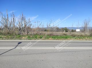 Αγροτεμάχια 5.798,22 τ.μ. για πώληση