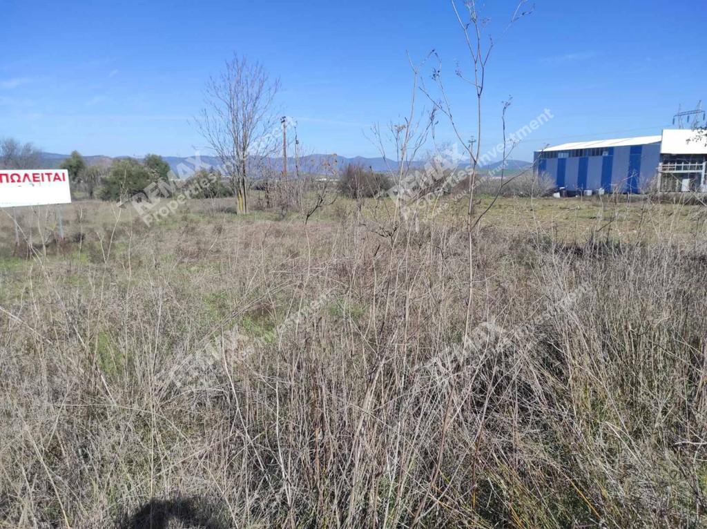 Αγροτεμάχια 5.798,22 τ.μ. προς πώληση, Θήβα