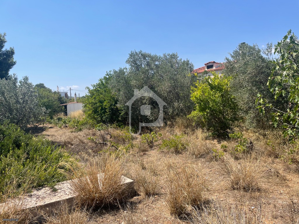 Αγροτεμάχια 750 τ.μ. προς πώληση, Γιούργια