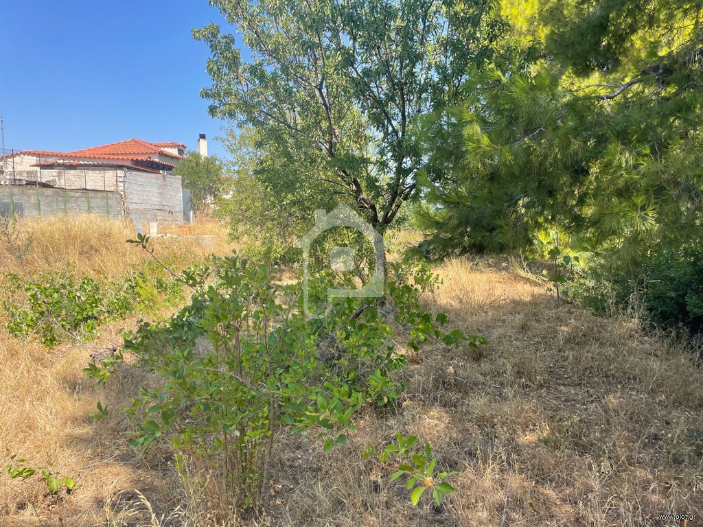 Αγροτεμάχια 750 τ.μ. προς πώληση, Γιούργια