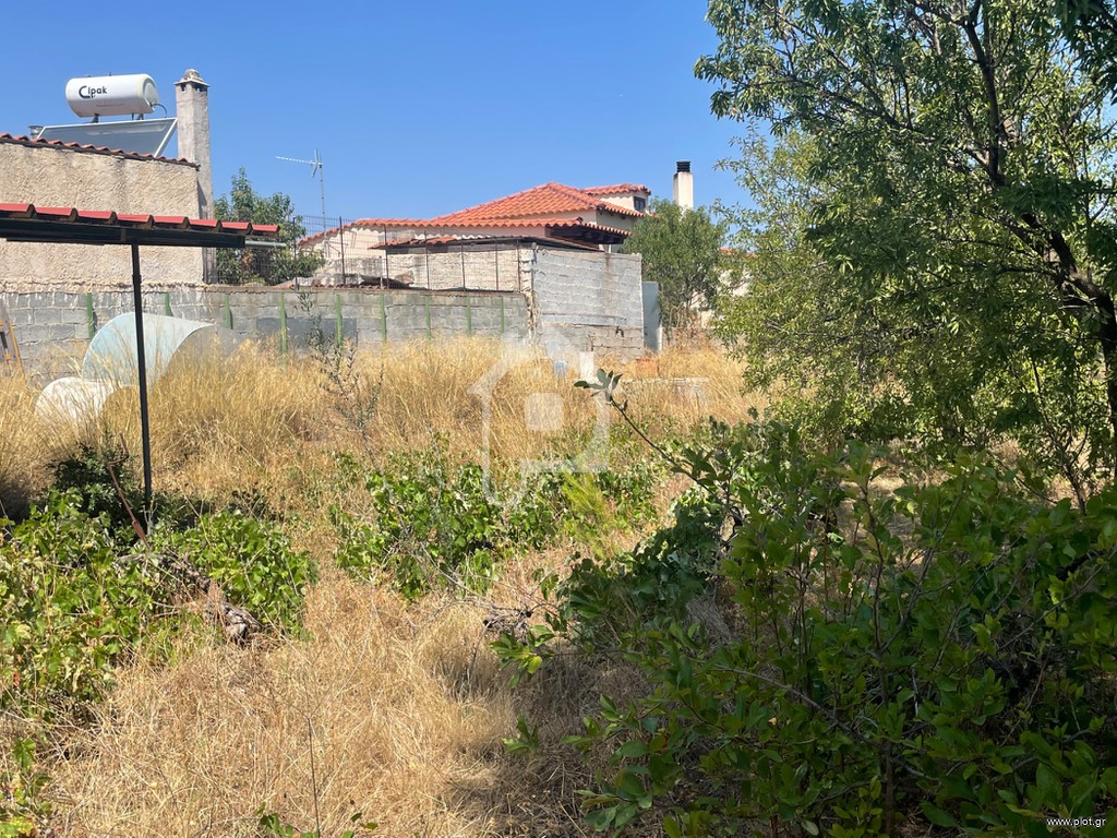 Αγροτεμάχια 750 τ.μ. προς πώληση, Γιούργια