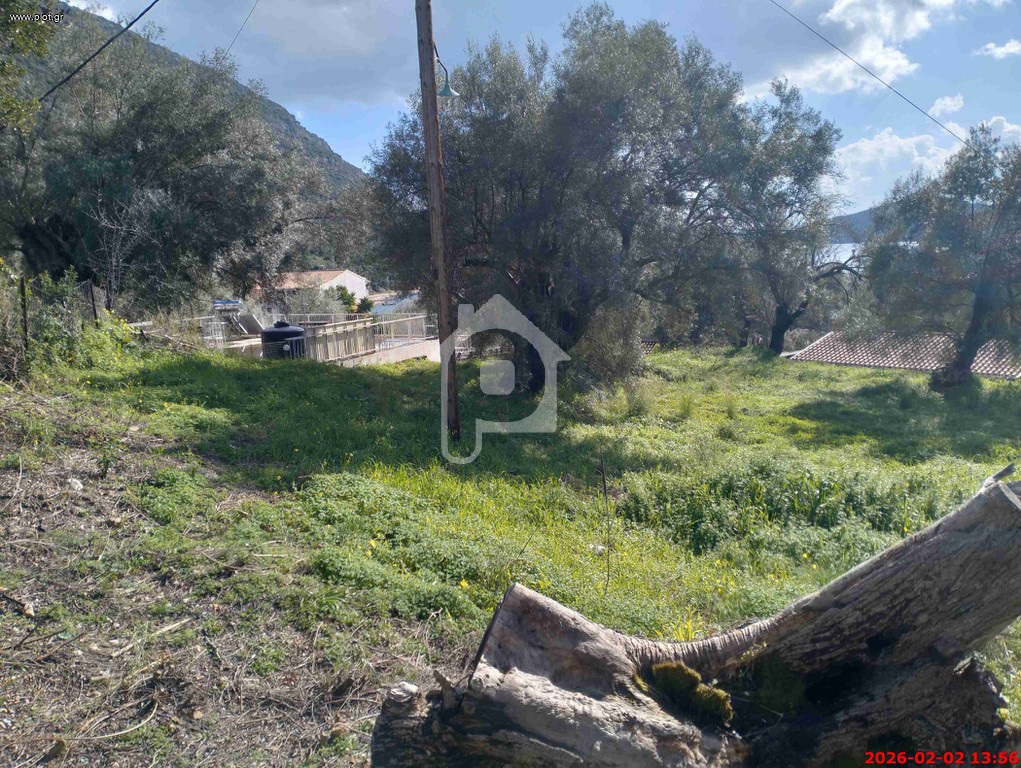 Οικόπεδο 1.295 τ.μ. προς πώληση, Ελλόμενο