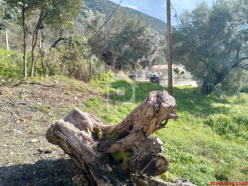 Οικόπεδο 1.295 τ.μ. προς πώληση, Ελλόμενο