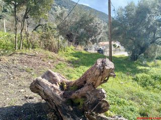 Οικόπεδο 1.295 τ.μ. για πώληση, Ν. Λευκάδας, Λευκάδα-thumb-4